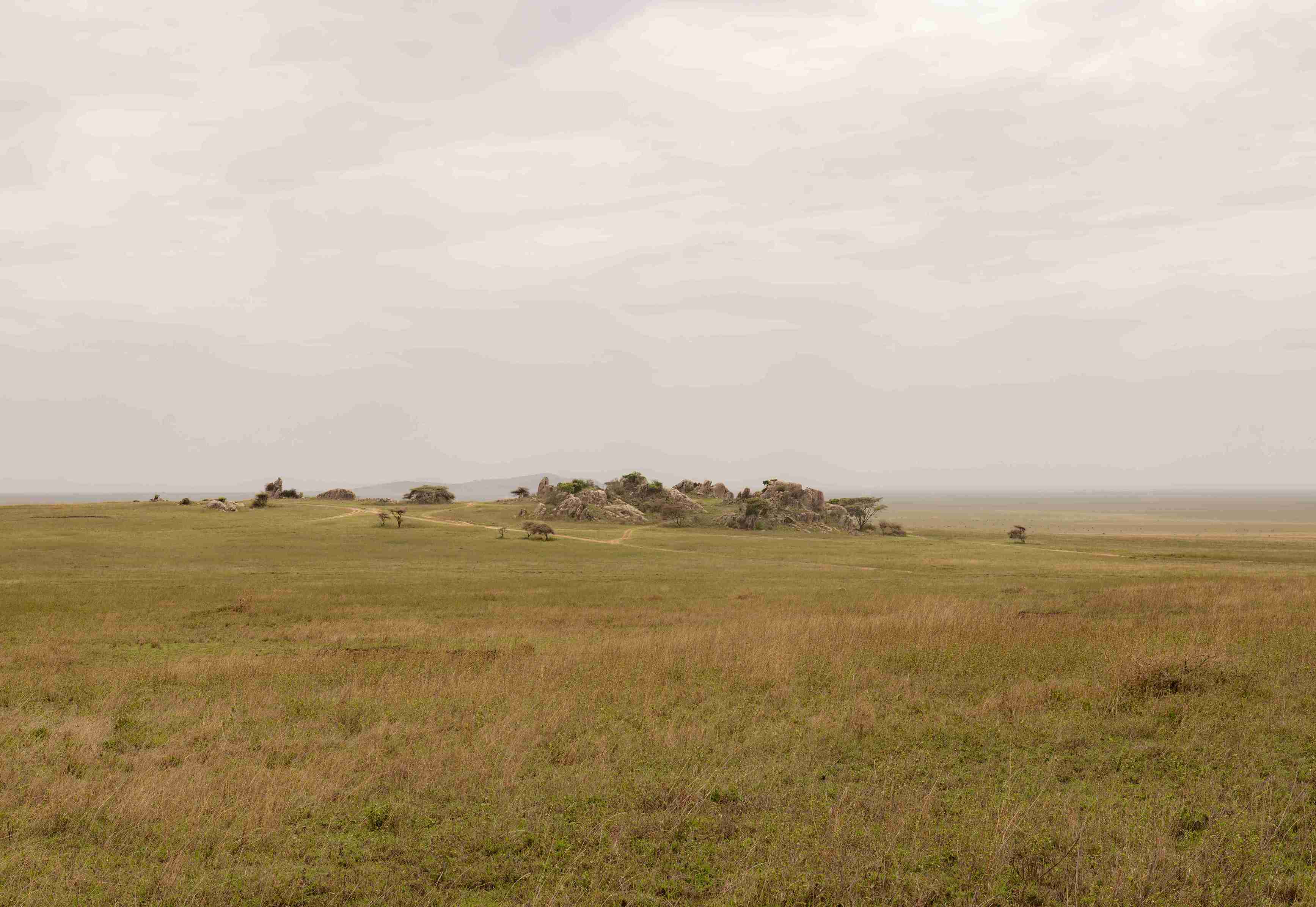 Kuona Serengeti Landscape